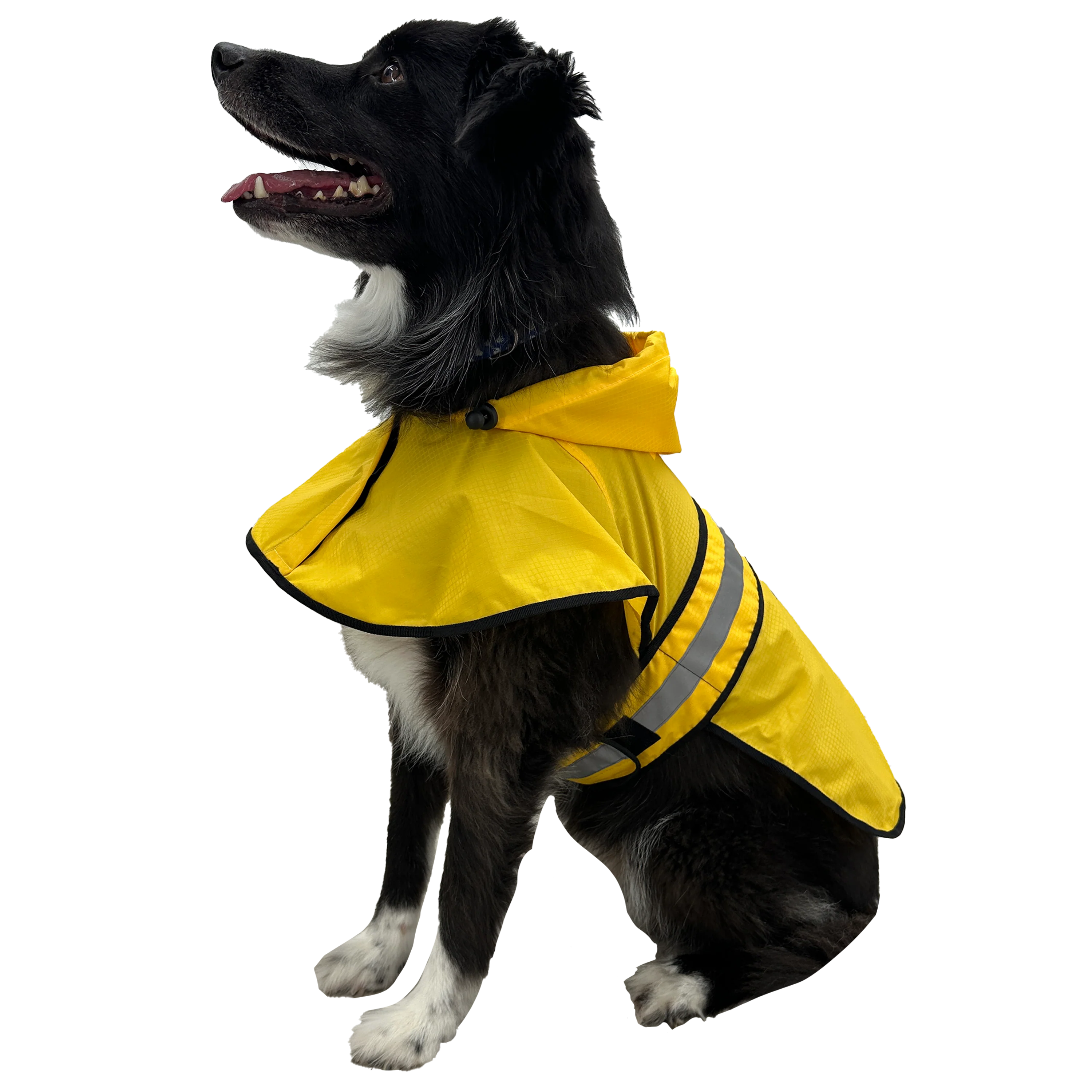 Frogg Toggs® Dogg Toggs Raincoat - Image 12