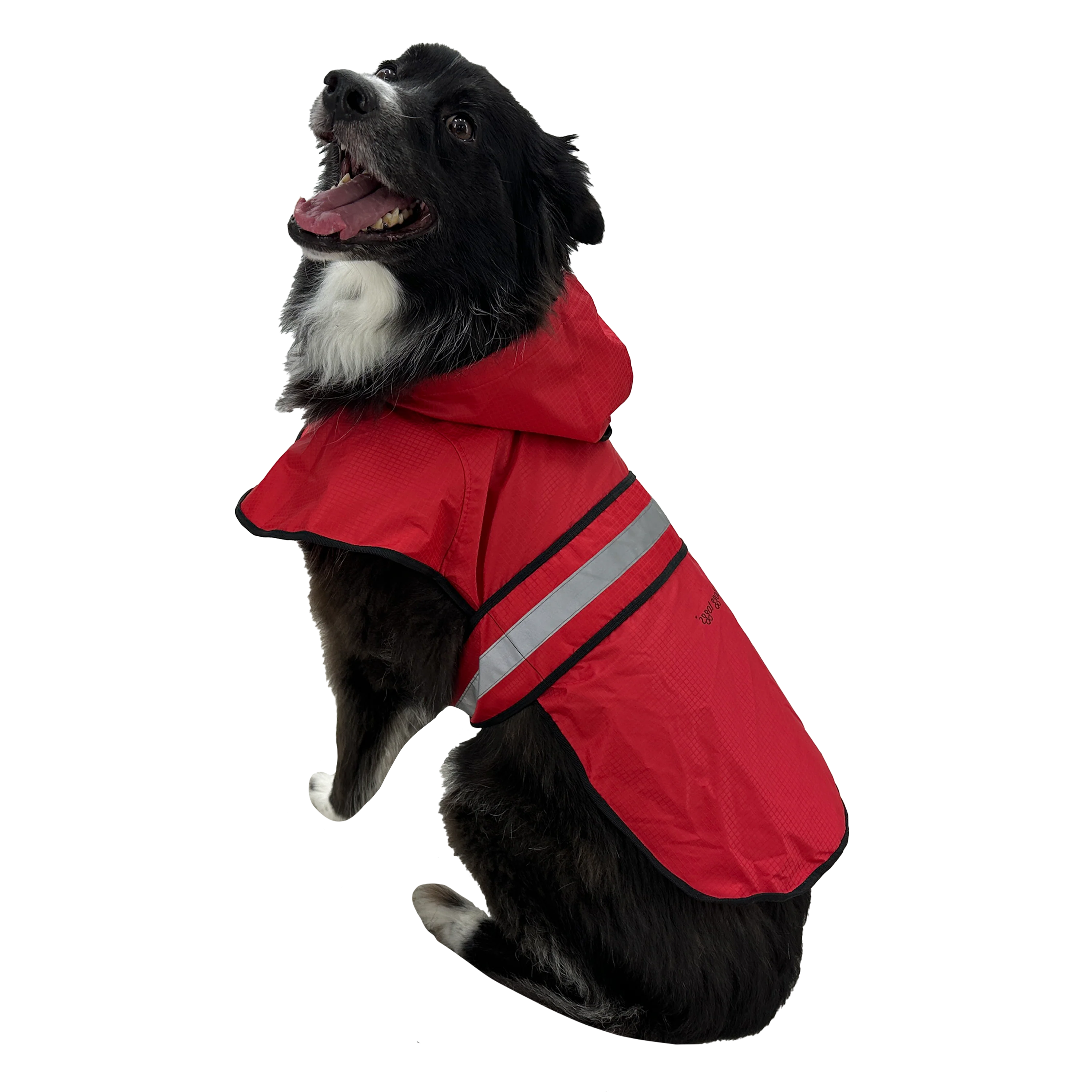 Frogg Toggs® Dogg Toggs Raincoat - Image 6