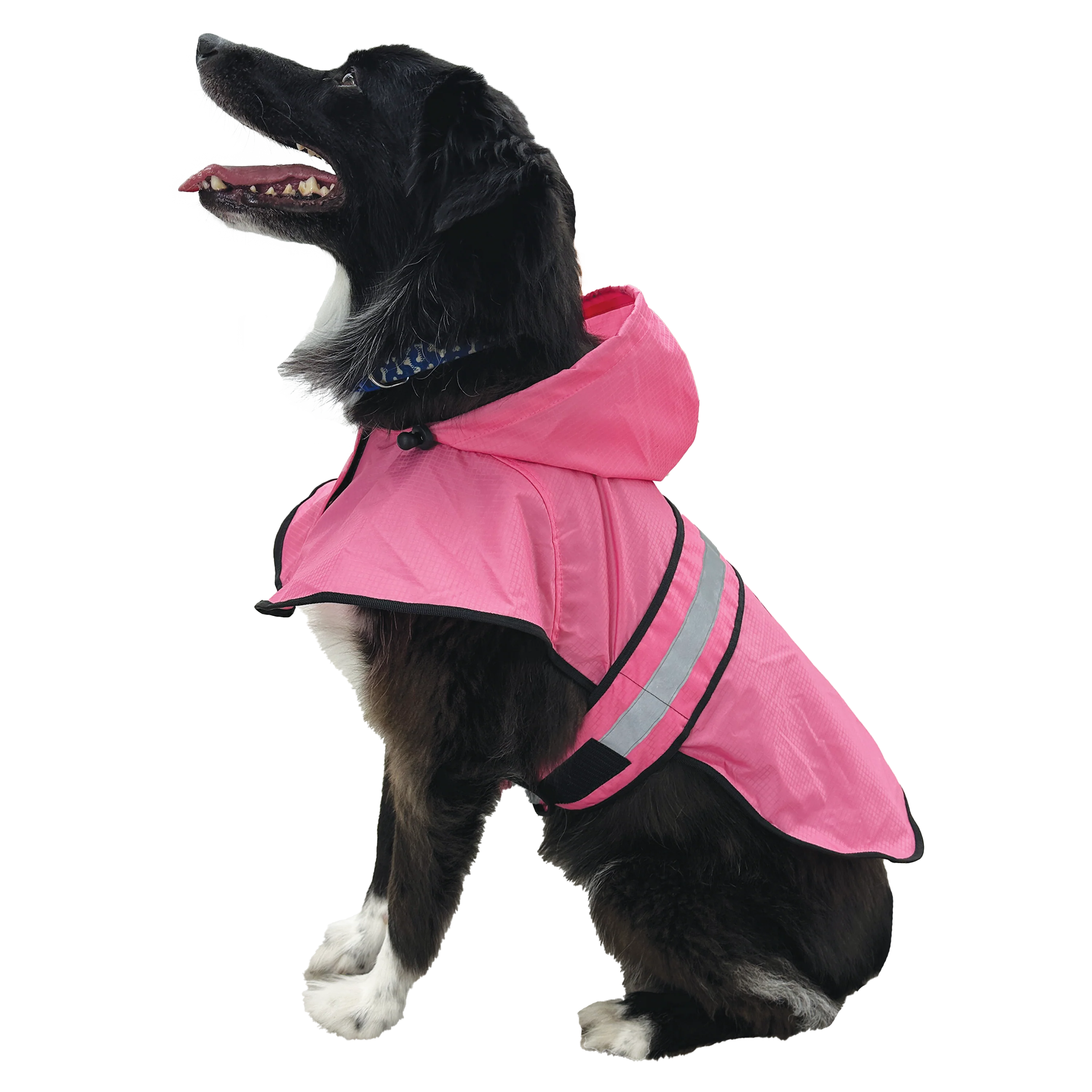 Frogg Toggs® Dogg Toggs Raincoat - Image 9